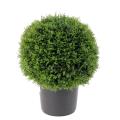 Cypres Artificiel Boule Pot