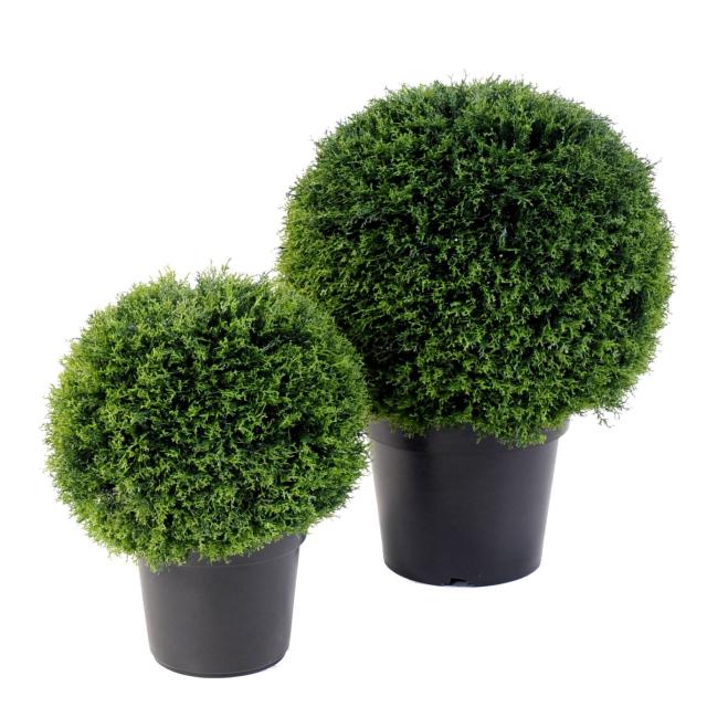 Cypres Artificiel Boule - Cypres Artificiel Boule Pot