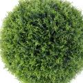 Cypres Artificiel Boule Pot