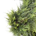 Cypres Artificiel Juniperus Juniperus Spirale Fine