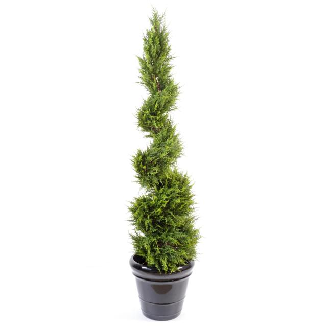 Cypres Juniperus Artificiel Spirale Fine - Cypres Artificiel Juniperus Juniperus Spirale Fine