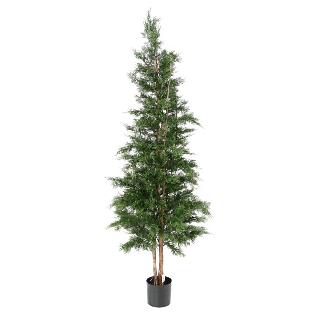 Cypres Artificiel de Lawson UV Resistant Chamaecyparis